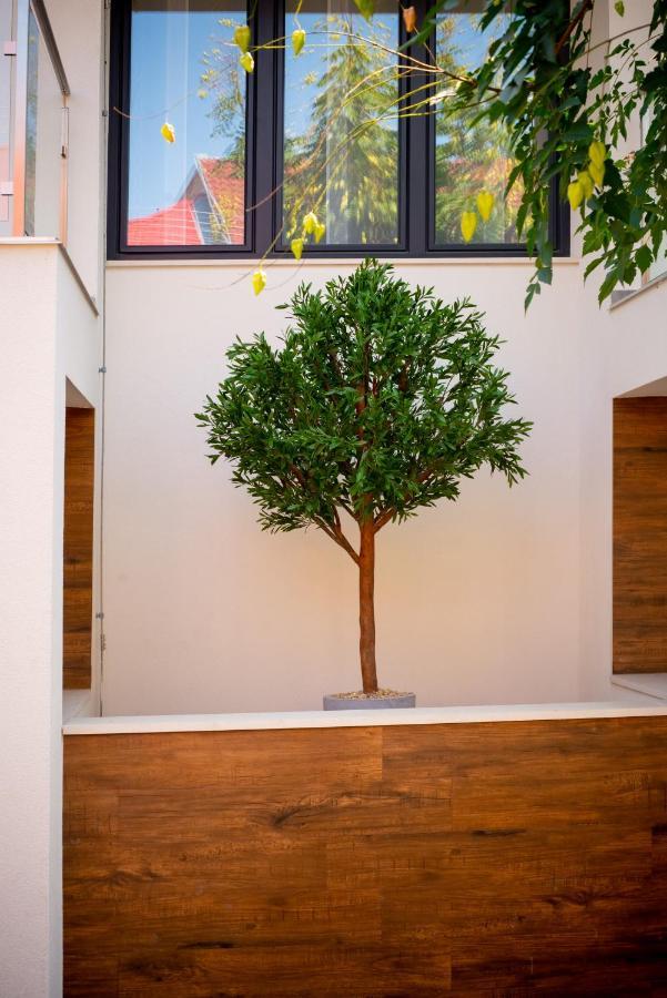 Elixir Panzio Bed & Breakfast Nyirbator Exterior photo